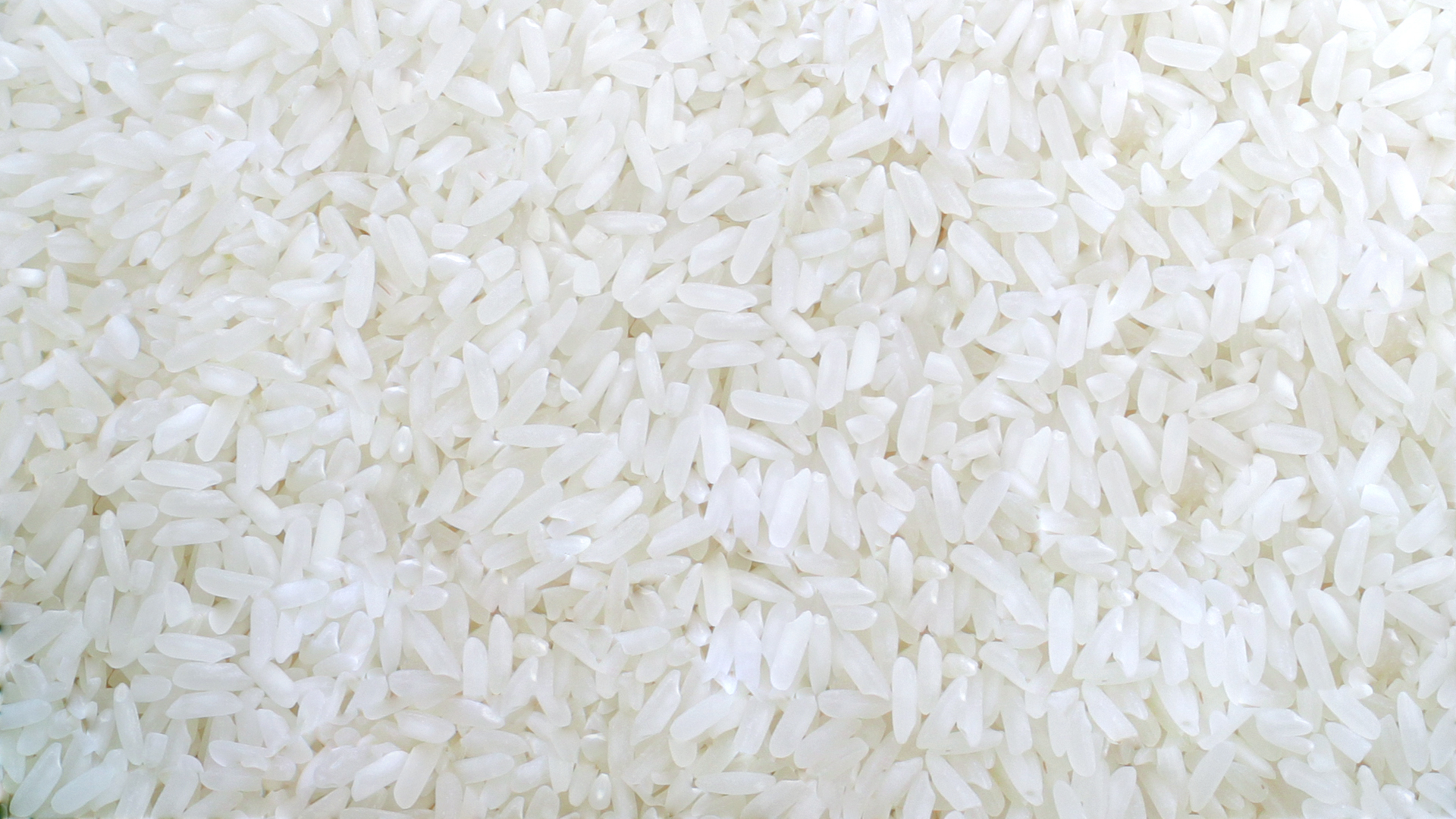 Gạo 15% tấm