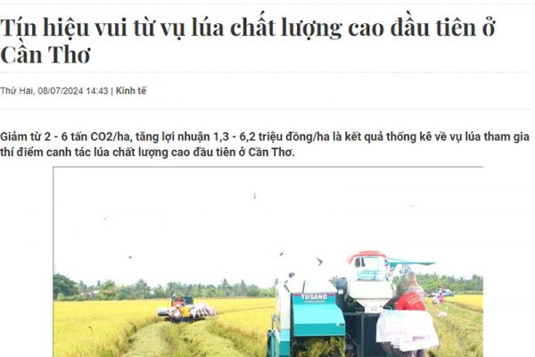 Báo tin tức đưa tin về tín hiệu vui từ vụ lúa chất lượng cao đầu tiên ở Cần Thơ