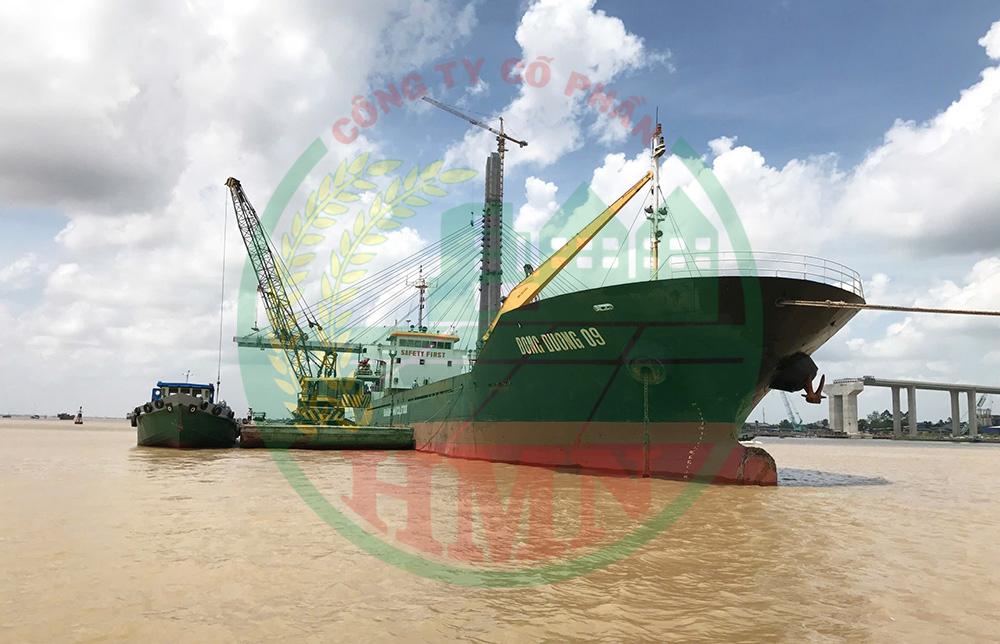 Exporting Rice with the Đông Dương 09 Vessel: The Foundation of HMNFOODCO's Growth